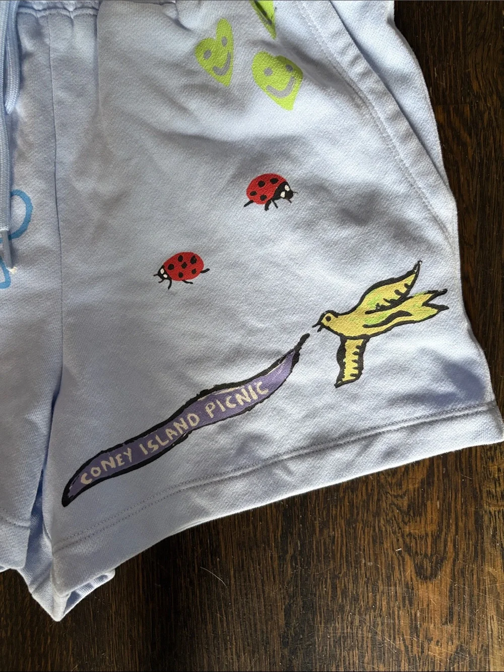 Light blue Graphic Lounge Shorts with Ladybugs & Flowers - Picture 2 of 5